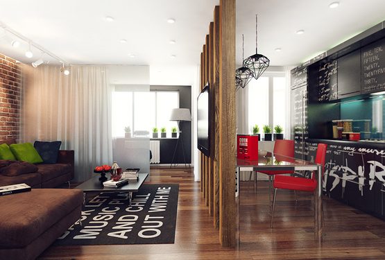 cool-apartment-for-a-young-man